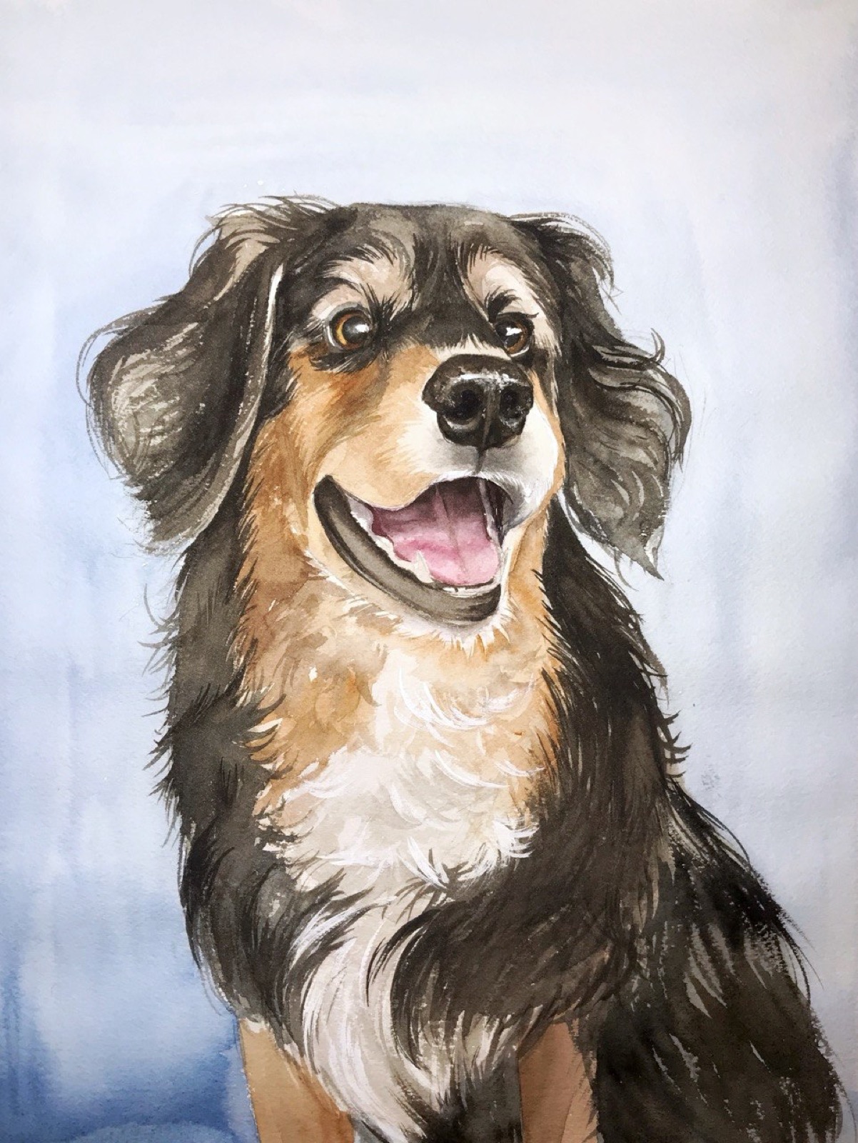 Watercolor portrait of a smiling tri-color herding dog