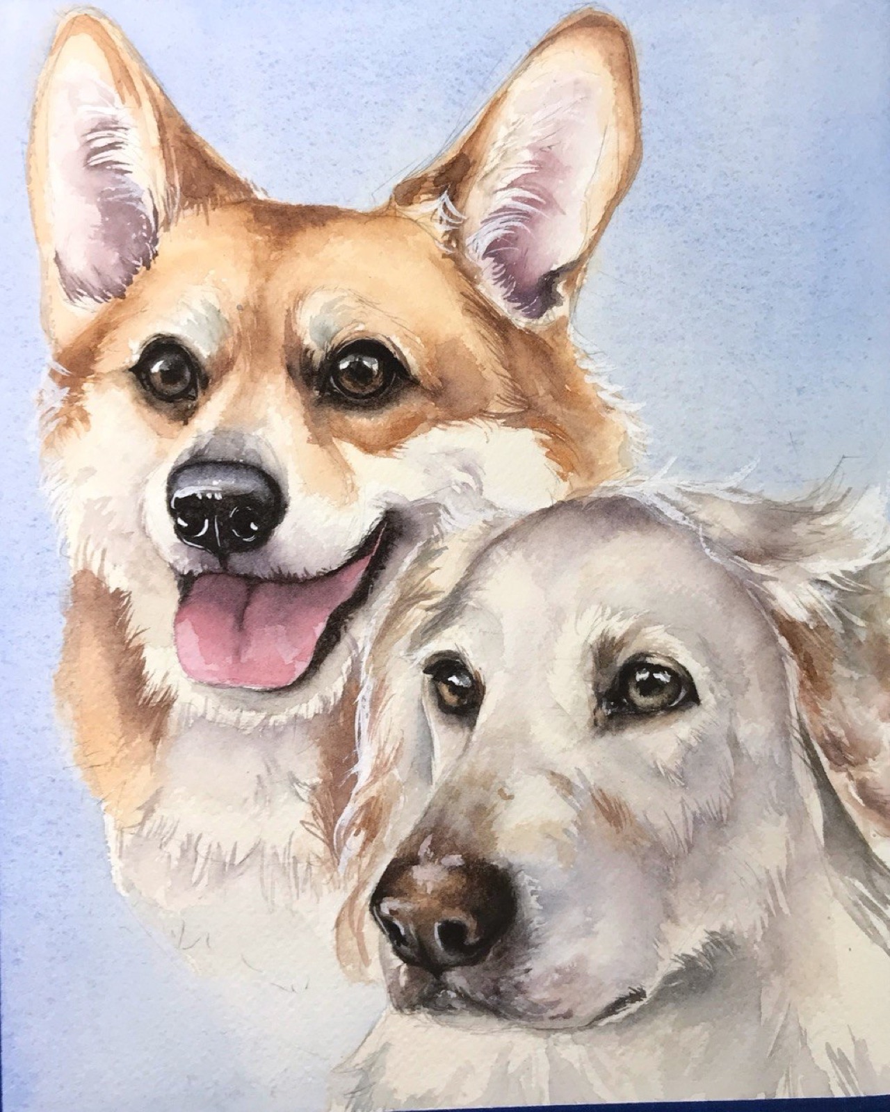 Watercolor double portrait of a tan Corgi and a cream-colored dog