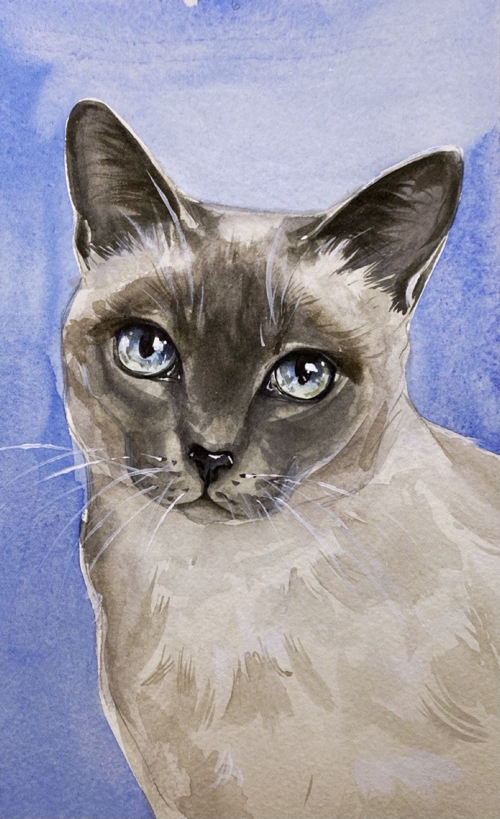 Watercolor portrait of a blue-eyed Siamese cat on a violet background