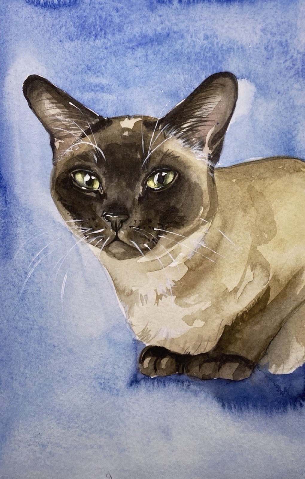 Watercolor portrait of a green-eyed Siamese cat against a blue wash