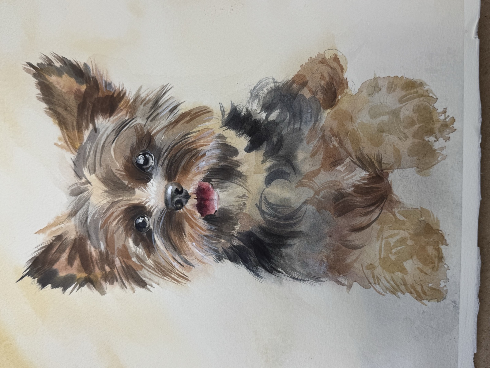 Watercolor portrait of a Yorkshire Terrier lying on its back